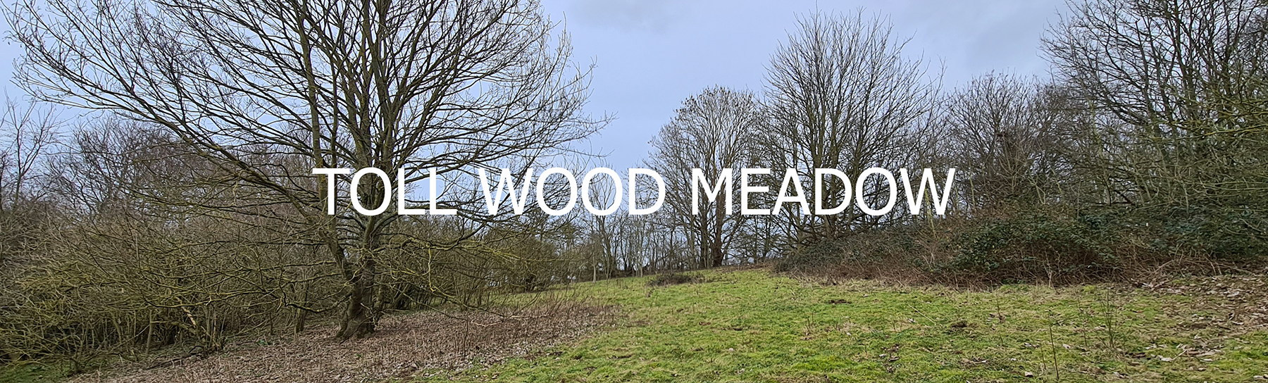 Encompassed woodland chalk meadow