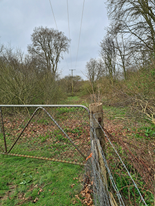 UK Power Networks way-leave clearance of woodland scrub in Meadow